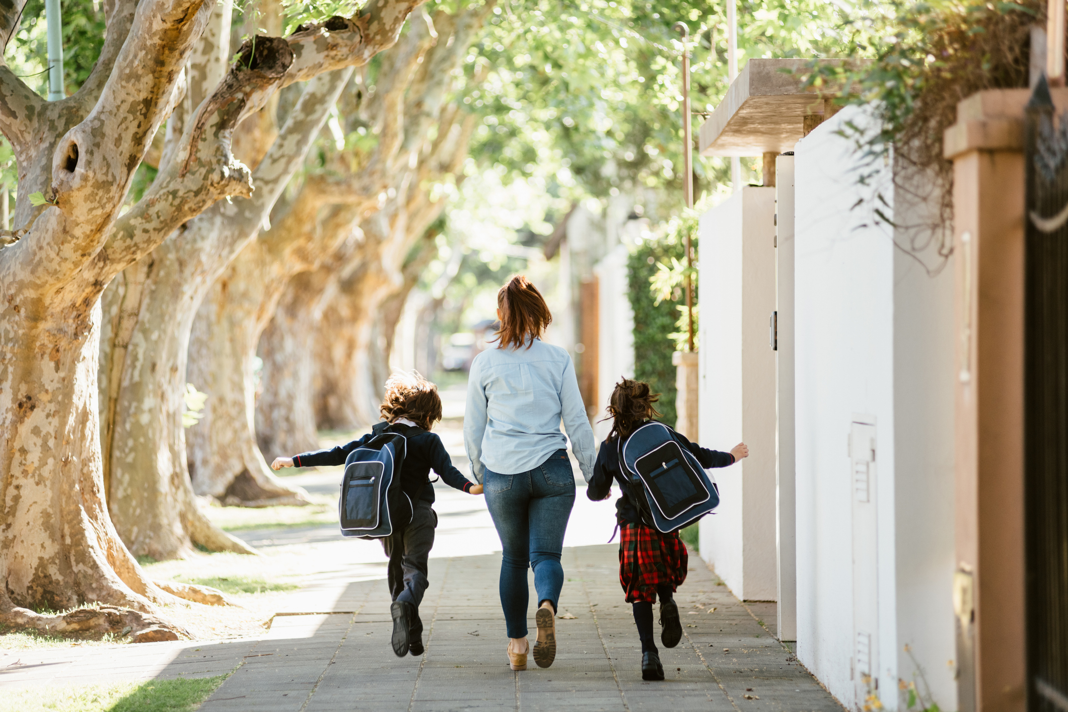 Stress Less for Back to School | New Leaf Community Markets 